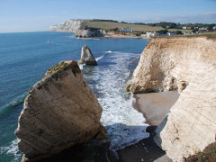 freshwater bay